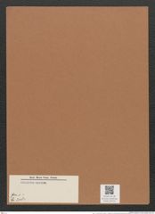 gen. 1 ? sp. (de-Toni-Nr.: Genus 1 ?, Species 318 ?) Zeichnungen Sammlung Grunow Mappe 00731 (Herbarium_W_Grunow_drawings_Folder_00731)